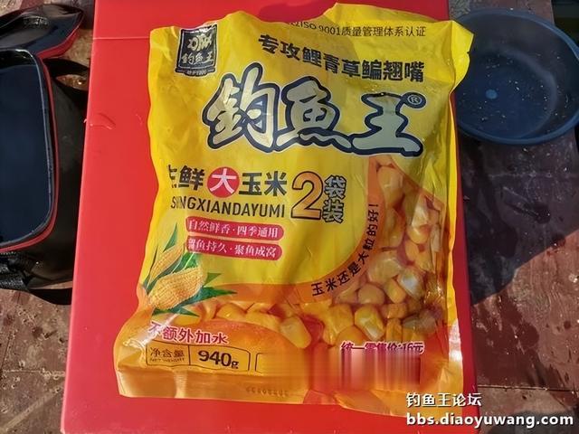 |生鲜大玉米,钓翘也钓鲫