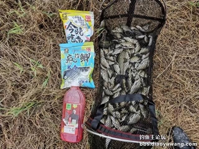 情理之中的“爆护”