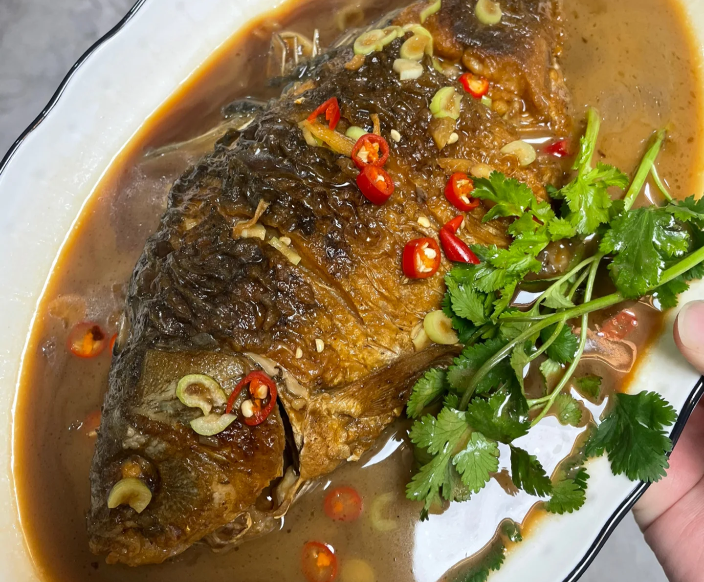 玉米|开学在即!建议:家长常给孩子吃这6种食物,益智健脑,学习好