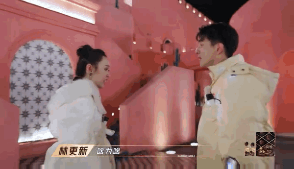 |笑到头掉,这到底是个什么神仙综艺啊!