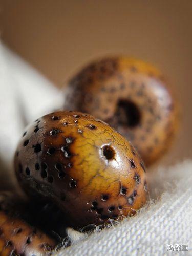 文玩|菩提子真的能盘开片么？能是能，不见得都能！