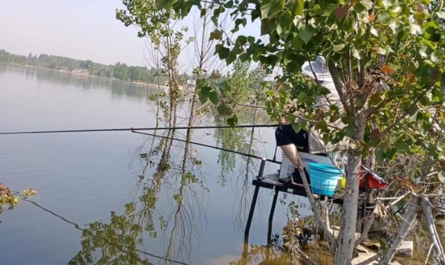 商品饵加水后别直接用，放上一天，鲤鱼更喜欢吃