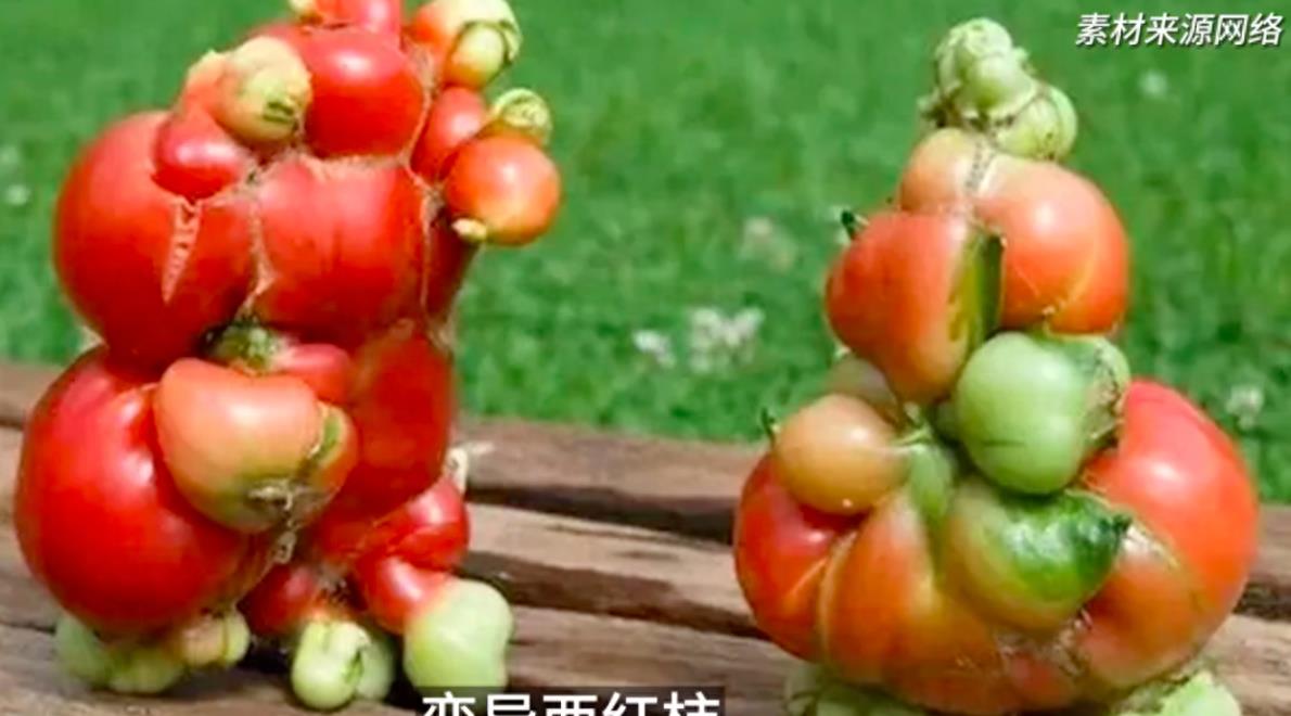 知名演员何家劲深夜发文:“人神共愤!自有天收!”评论区已沦陷