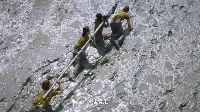 女子推理社|没别的，就是喜欢看全女阵容！