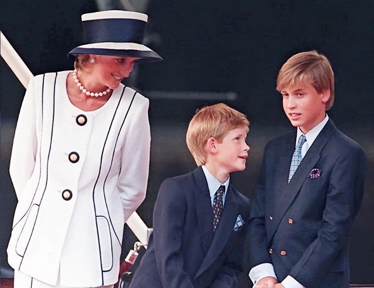 英国|杀手去日无多,2009年终说出戴安娜王妃是有人指使谋杀的!