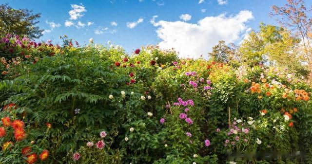 战斗力差的男人，只需要这三步来调养，便可以恢复如初