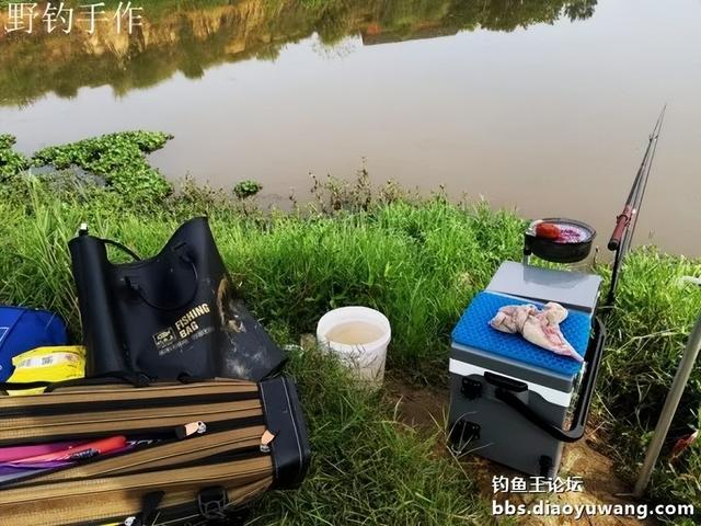 效果给力,今晚吃鱼