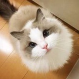 孤风看科技