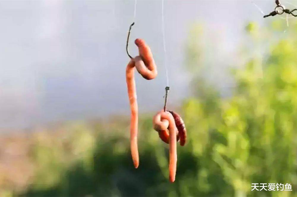 鲫鱼|钓鱼调漂:饵重决定调目,鱼口决定钓目,这是什么意思?