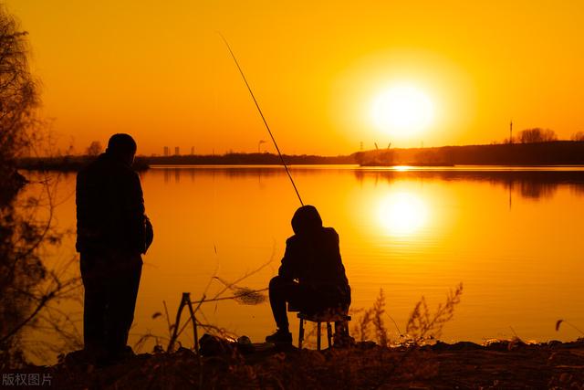 鲤鱼|小满前后钓鲤鱼最佳时间?