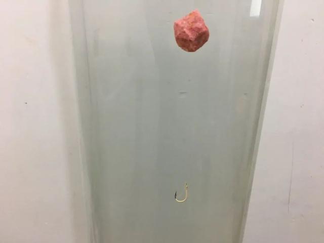 鲢鳙|喜欢钓鲢鳙的请注意：自制饵料并不难，便宜好用还不伤手！