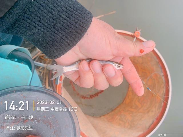 |再战千工坝，连杆的感觉真的不错！