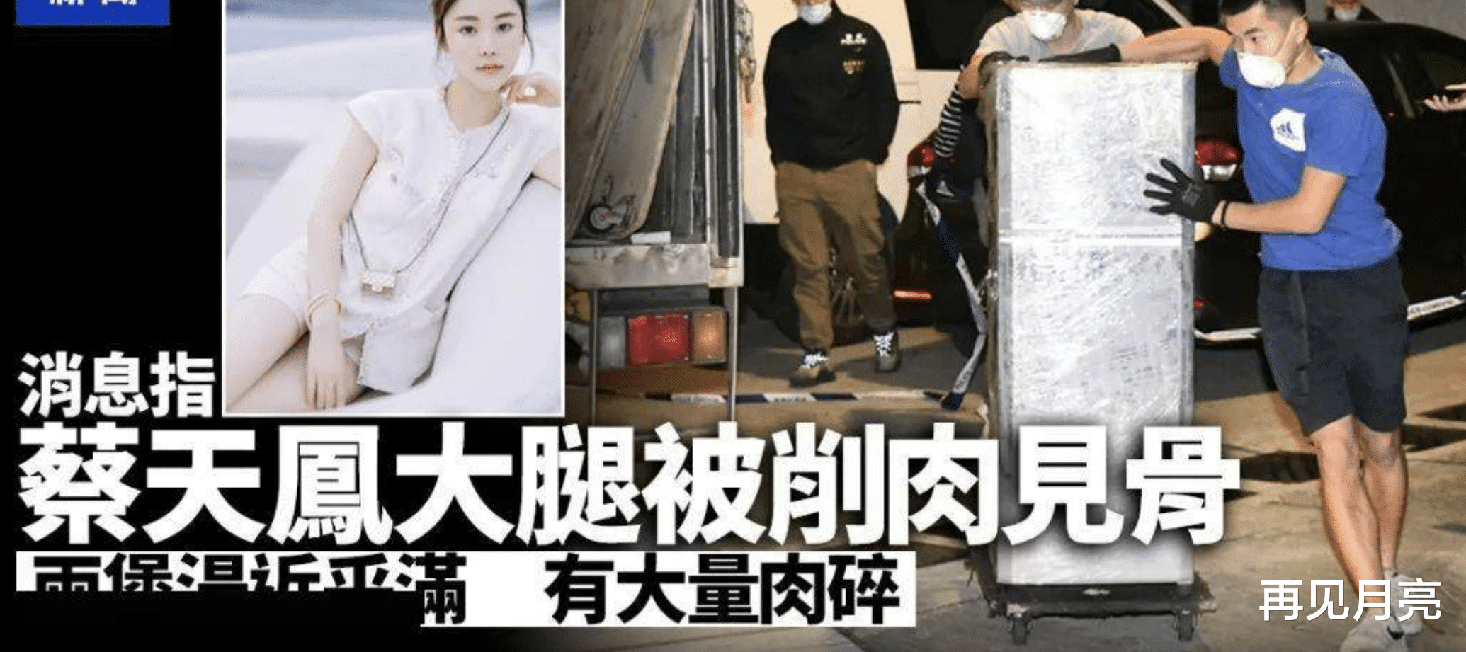 杂志|蔡天凤碎尸案,Abby为时装界名媛屡登知名杂志 被形容为“新星”