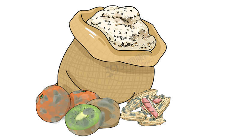 我国癌症高发，是吃太多肉引起的？劝告：这4种肉确实要少吃