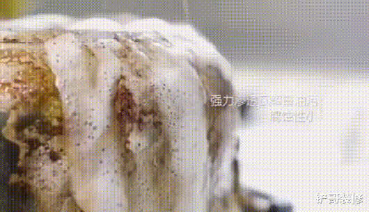 素素|退休后重返职场：日本老人能做到的，中国的老人为什么不行?