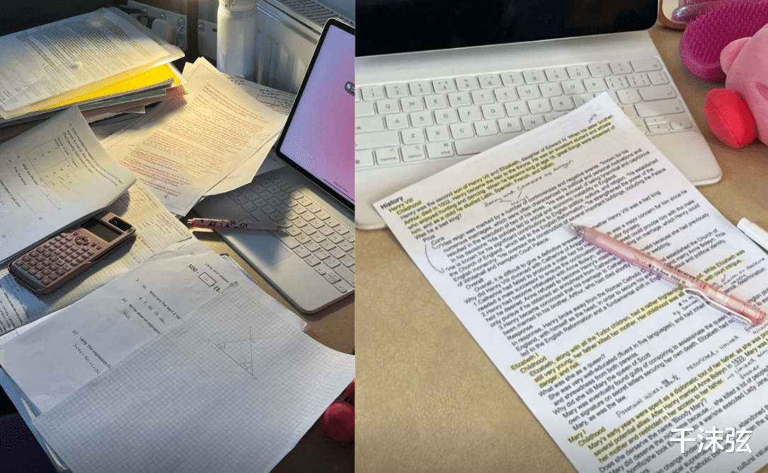 张颂文|13岁王诗龄高调炫富，带同学买奢侈包，作业全是英文字体板正