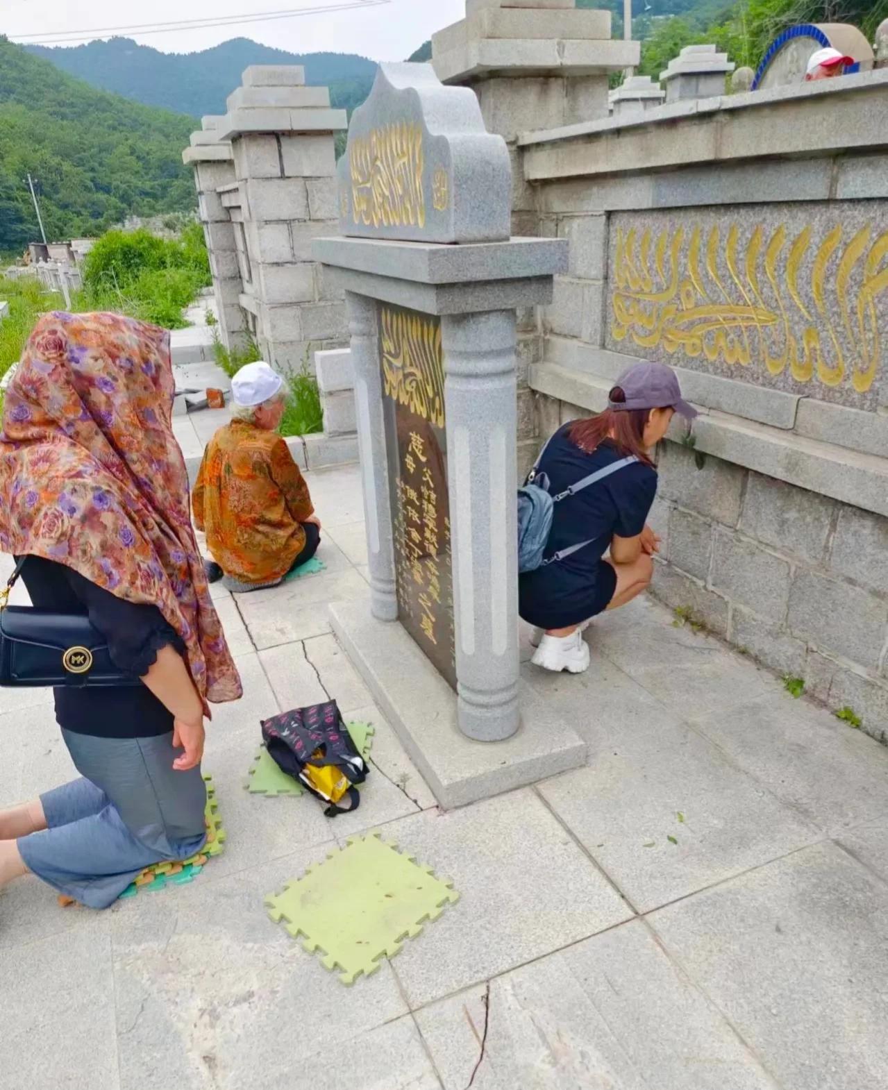 61岁台湾女星回东北老家，在父母坟前痛哭，触景生情怀念家乡