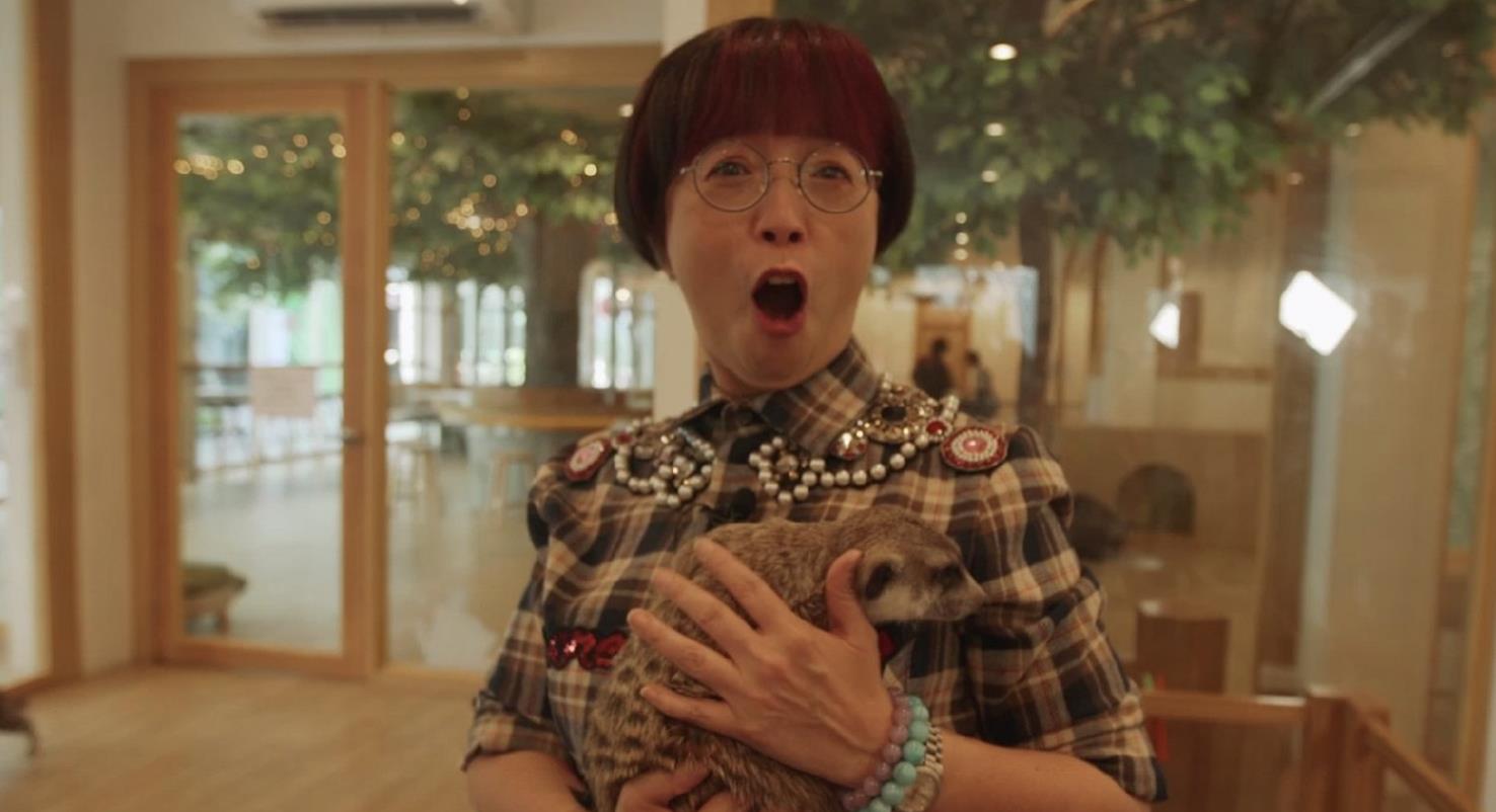 苑琼丹:演员太穷,只好直播发家致富