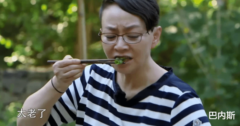 何炅|刘宪华确定回归《向往》,哽咽表达想黄磊何炅,自己像回家的孩子