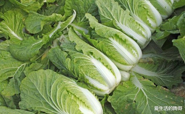 大寒|1月20号大寒,老传统“大寒吃4宝,丢掉老棉袄”,哪4宝?别不懂