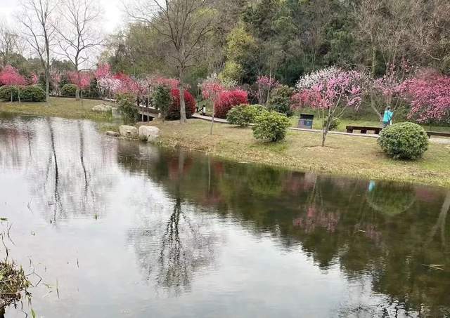 牛首山|藏在牛首山里的“桃花源”，比鸡鸣寺的樱花还要美！