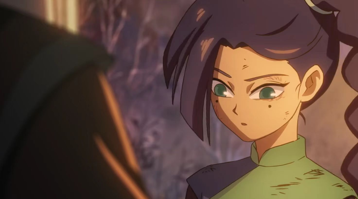 青凤要梅花十三去玄武国北边找的人是谁?会是梅花大侠吗?