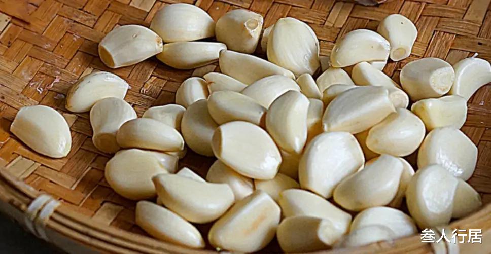 食盐|腌腊八蒜,别只会放醋,牢记3个窍门,一天就变绿,更爽脆不烧心