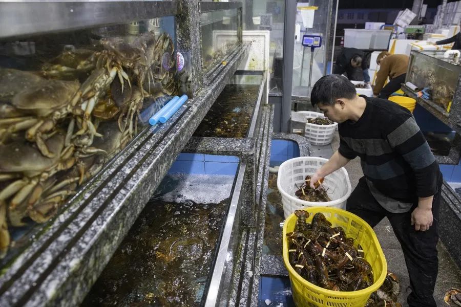 海鲜|价格大涨!龙年对吃它情有独钟! 一天能卖8000只