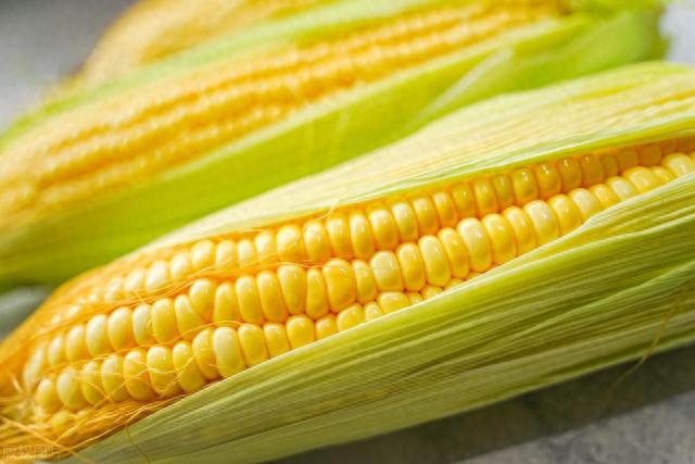 初秋夜钓,很多因素都会影响上鱼!牢记这四招,鱼获有保证