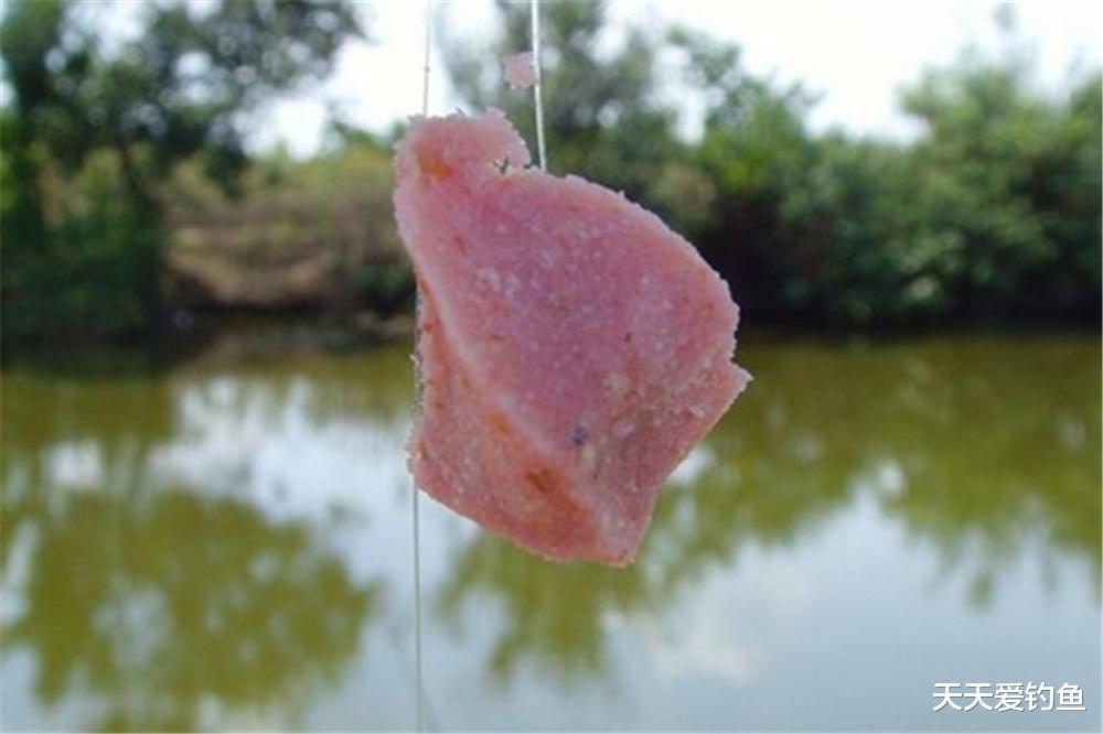 鲢鳙|浮钓鲢鳙,如何选漂和调漂?出现这些漂相都能中鱼