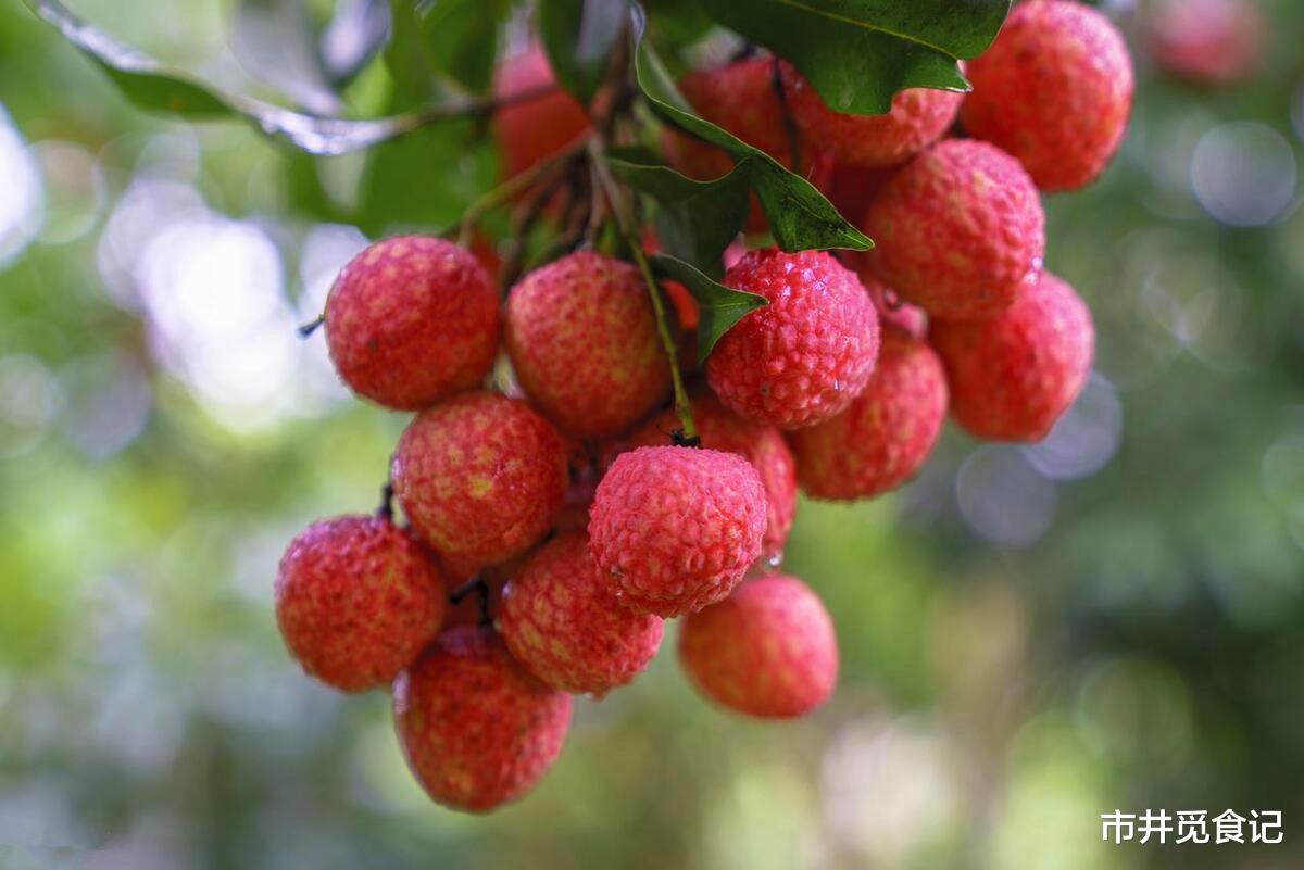 美食文化|荔枝的“鄙视链”,妃子笑垫底,糯米糍排第4,还有论颗卖的高货