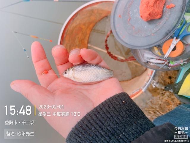 |再战千工坝，连杆的感觉真的不错！