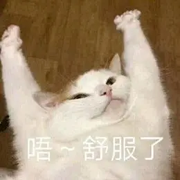 古镇|意犹未尽！网友热议的“每周三都放假”是什么体验