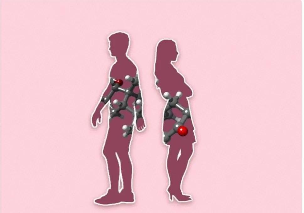 长寿|为什么说女性的脚存在一种特殊的“暗示”