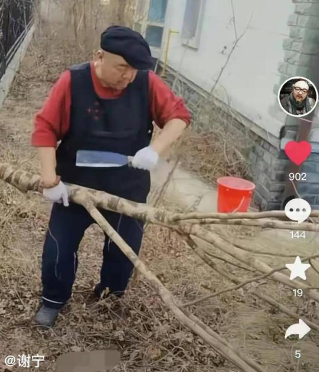 钟丽缇|7位过气艺人现状,乡下捡垃圾,卑微商演