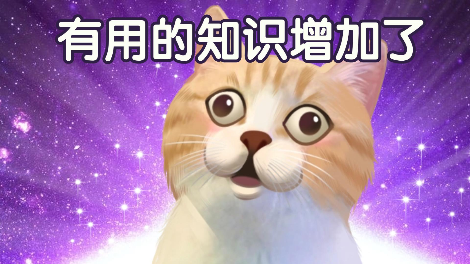 如何区分足浴店是否正规？
