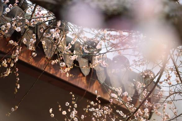 貔貅摆件说到貔貅相信很多人都不会感到太陌生,因为在很多的电视剧和