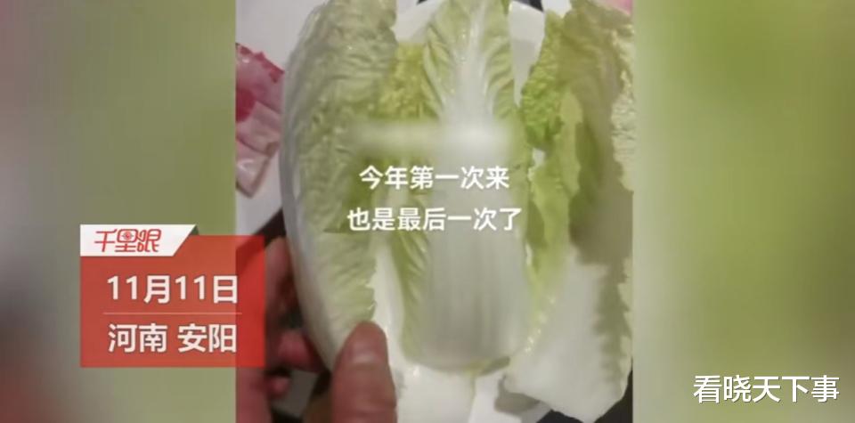 娃娃菜|火锅店4片白菜卖6元，女子愤怒：这在我们当地两毛钱一斤