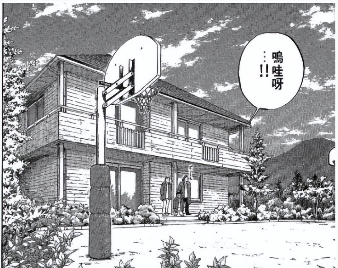 灌篮高手|《灌篮高手》角色家境大排行,樱木不穷,流川不富,安西真土豪