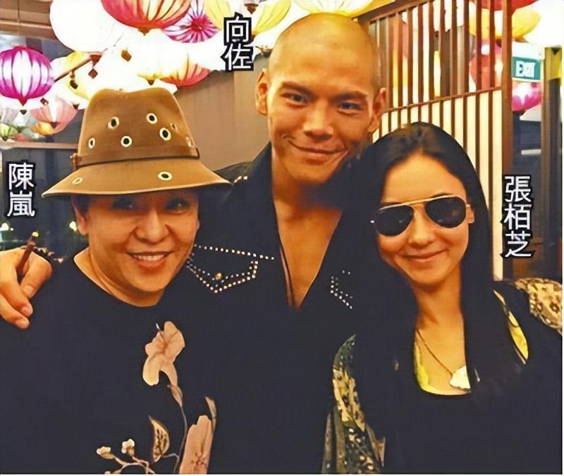 张柏芝|“撒谎精”张柏芝,终究为自己的“撒谎成性”付出了代价