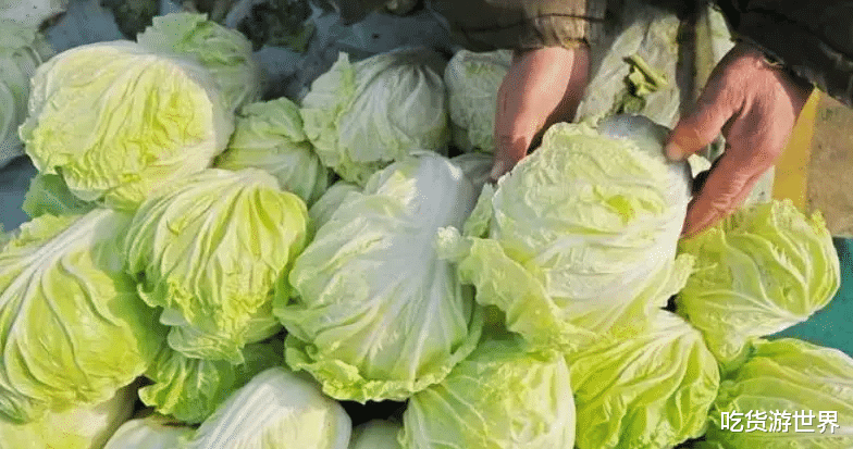 白菜|买白菜时，选绿叶的还是黄叶的？口感差别大，弄懂再买不吃亏