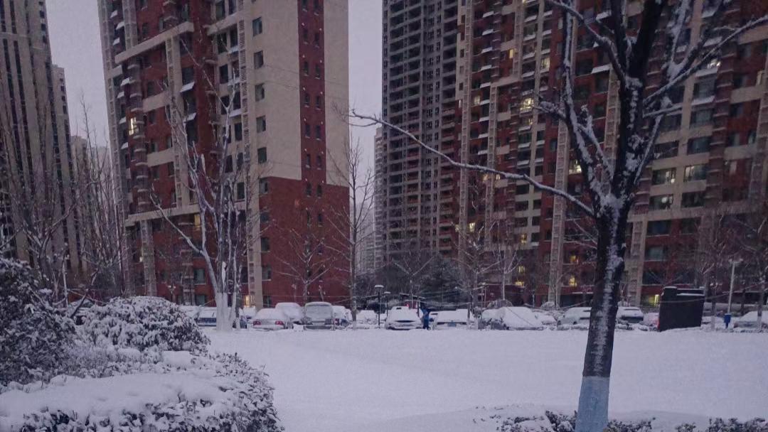 范冰冰正式复出了