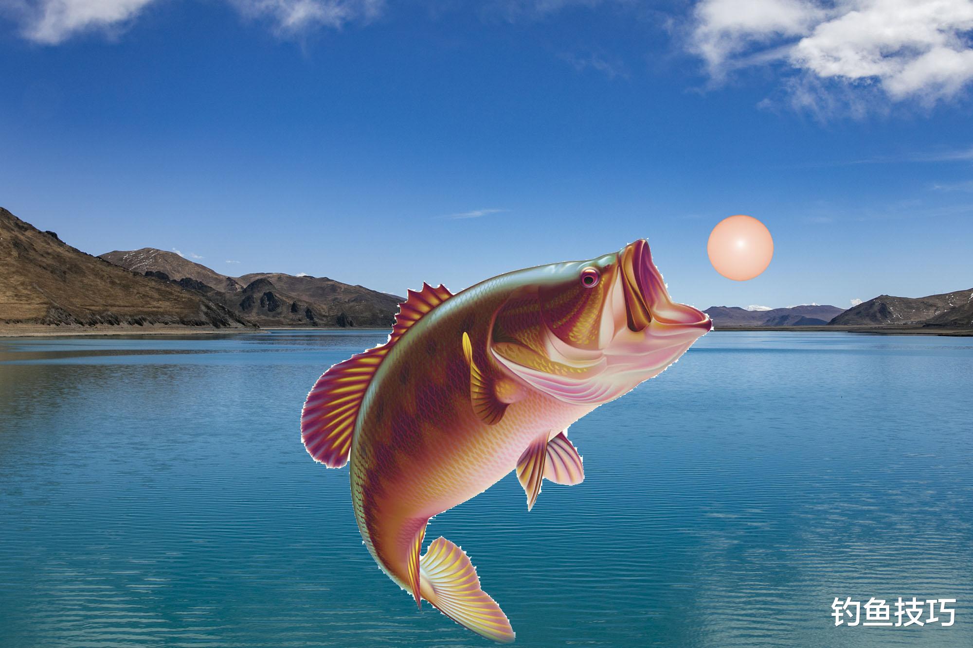 |哪些物质可以增加鱼的饥饿感?增加鱼的饥饿感的4种物质