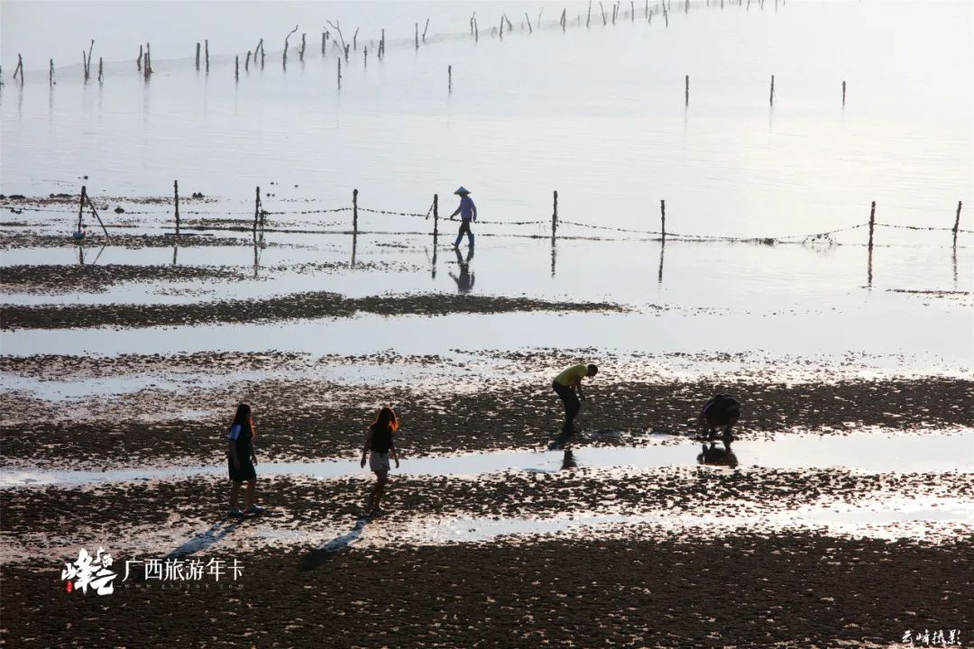 赶海|广西夏天赶海必去的古渔村！滩涂宛如天空之境！| 广西旅游年卡