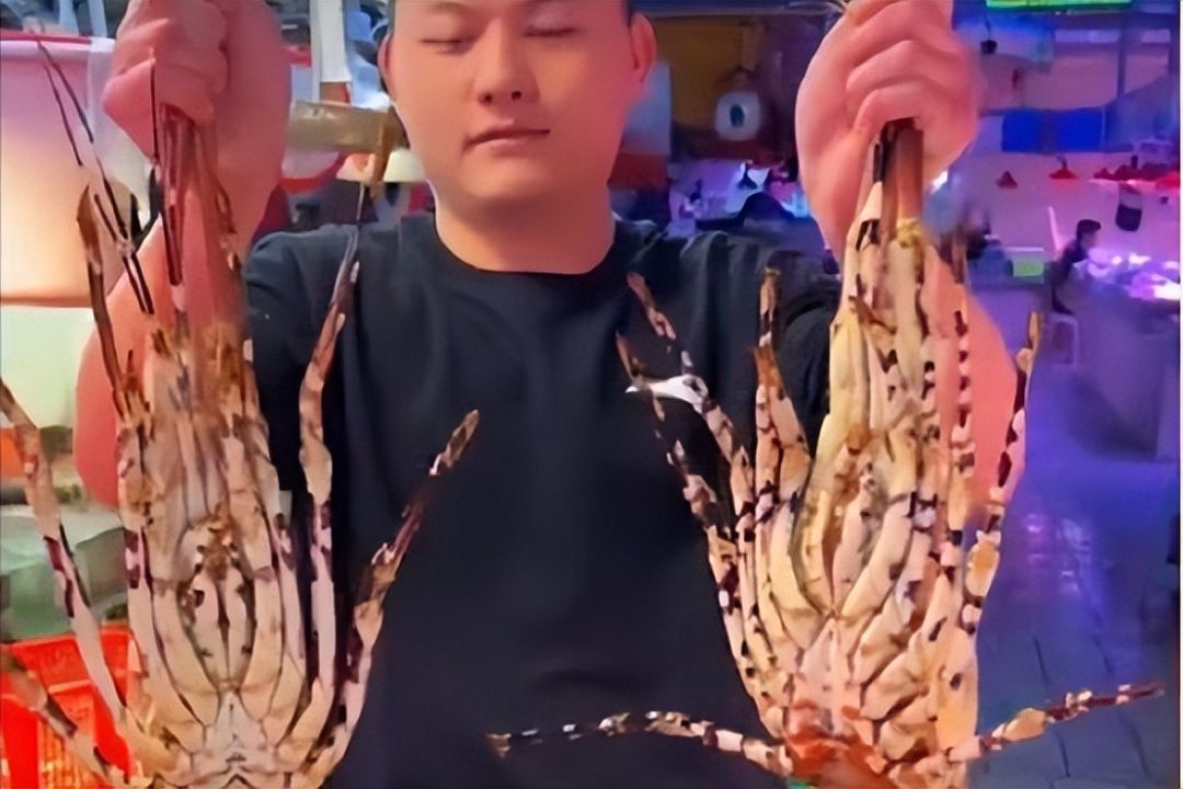 抖音|抖音“痛风夫妇”周涨粉27万,老号是如何持续性涨粉的?