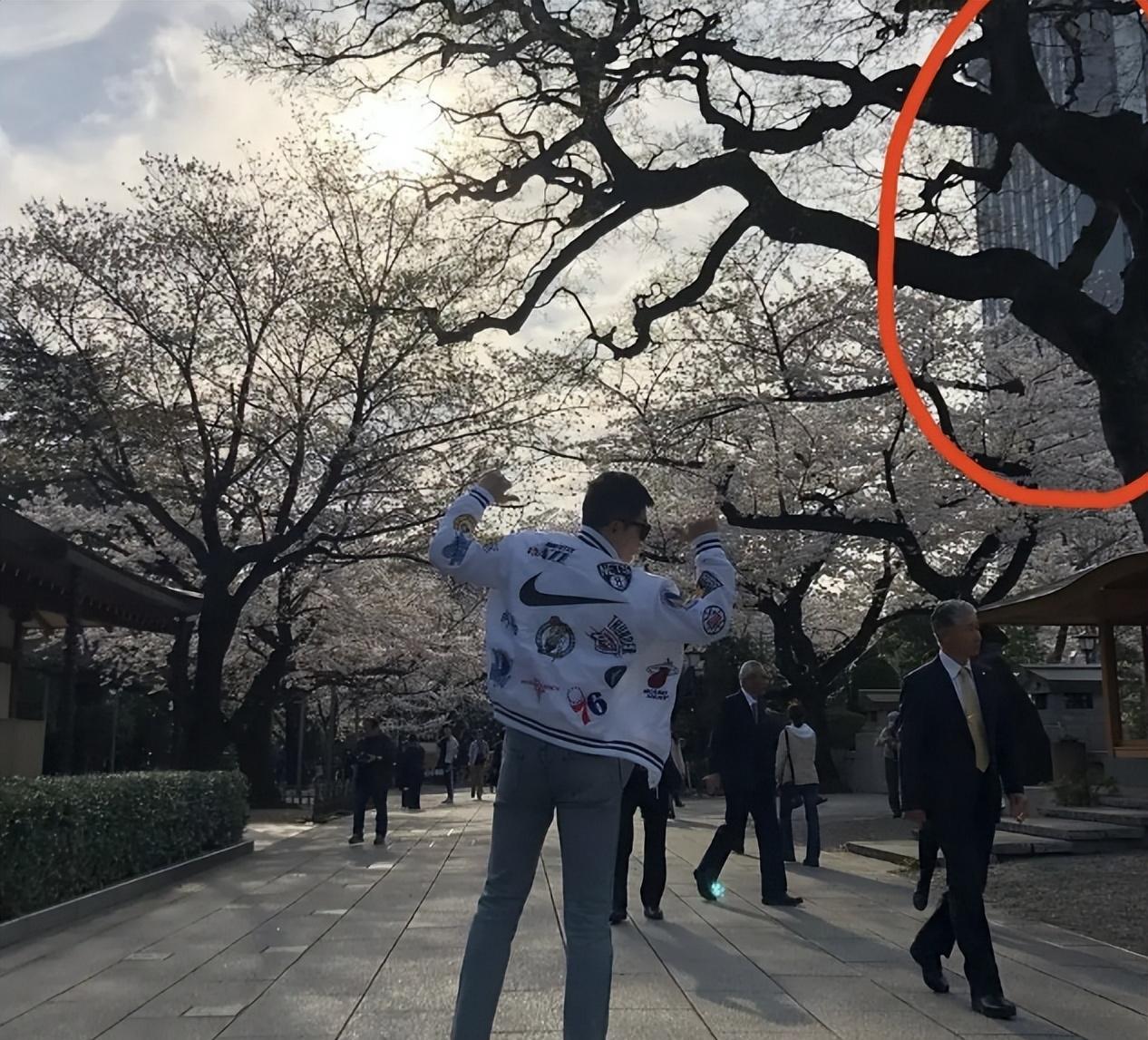 又见双面人！她是“精日分子”，出名后试图删除言论建立完美人设