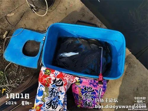 2024首钓爆护全放流,彰显地狱猫之大气