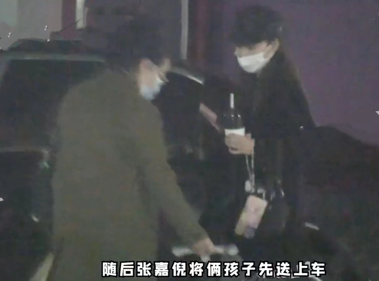 张嘉倪|张嘉倪婚变后带俩儿子游乐场玩耍,兄弟俩活泼可爱,母子感情融洽