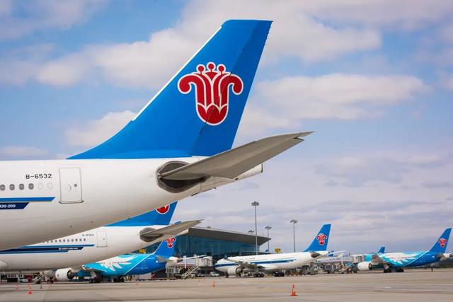 曾仕强|南航罗马营业部机场站招聘啦!