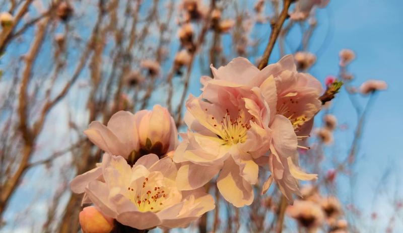 离职|你在职场上受了委屈就要离职吗?